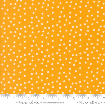PREORDER || Maker's Delight - Small Dot Dots Chrome