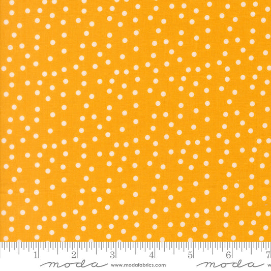 PREORDER || Maker's Delight - Small Dot Dots Chrome