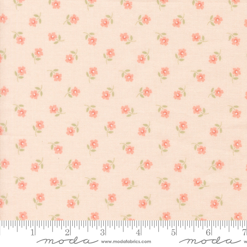 PREORDER || Handmade Sweetness - Posies Florals Blush