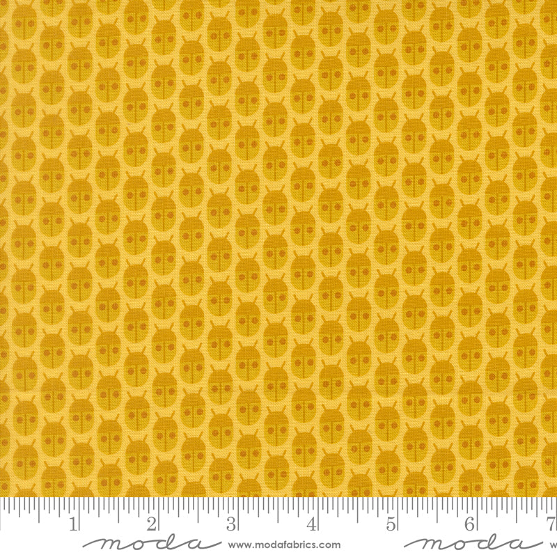 PREORDER || Popcorn - Layer Cake (42)