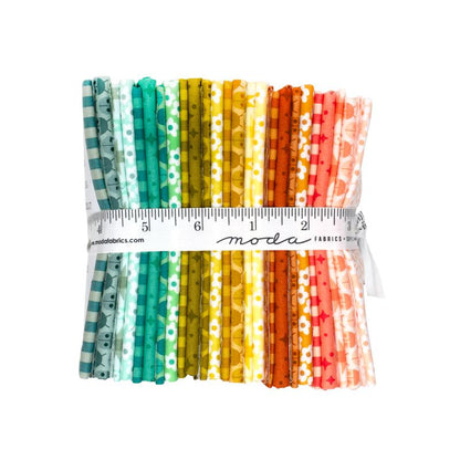 PREORDER || Popcorn - Fat Quarter Bundle (25)