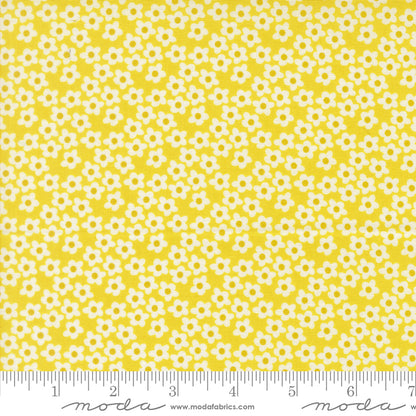 PREORDER || Popcorn - Layer Cake (42)