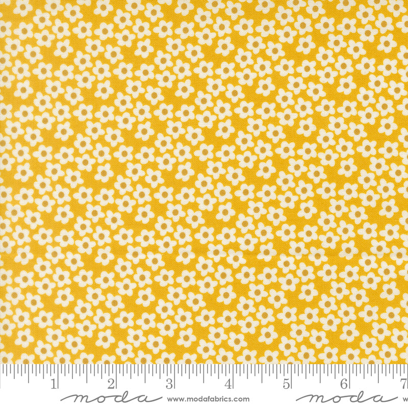 PREORDER || Popcorn - Layer Cake (42)