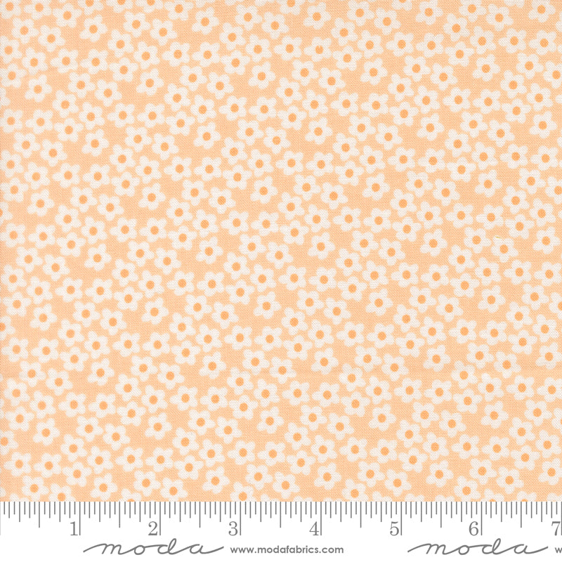 PREORDER || Popcorn - Layer Cake (42)