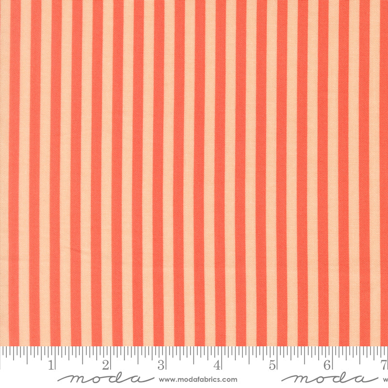 PREORDER || Popcorn - Layer Cake (42)