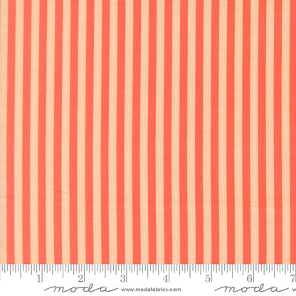 PREORDER || Popcorn - Layer Cake (42)